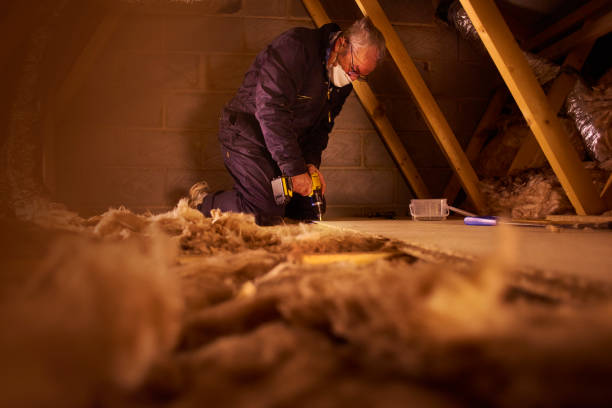 Best Insulation Maintenance and Repair in Temple, GA